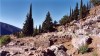 Delphi